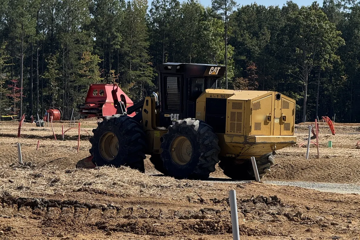 Wheeled feller buncher with a red cutting head on a cleared site, with pine woods behind