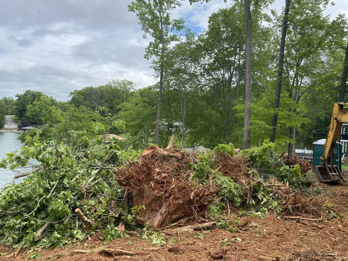 Pile of pulled tree stumps with root balls and leafy brush on cleared red clay